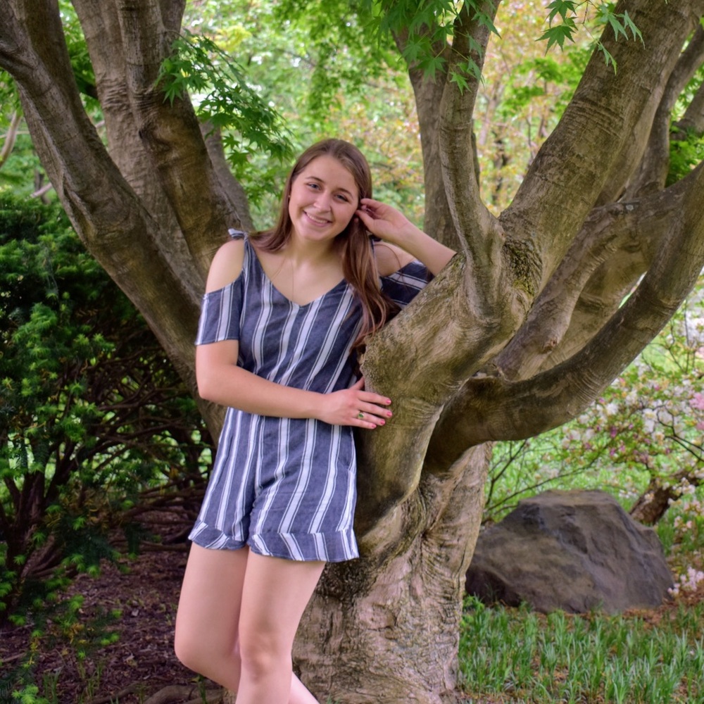American Eagle Linen Stripped Romper